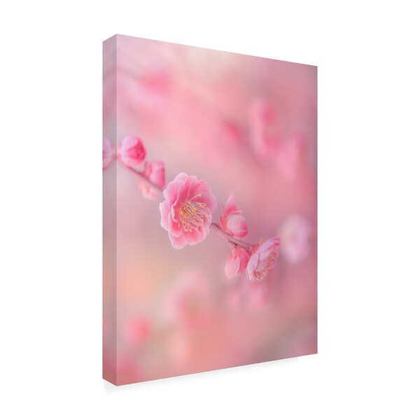Miyako Koumura 'Gentle Cherry Blossom' Canvas Art,24x32